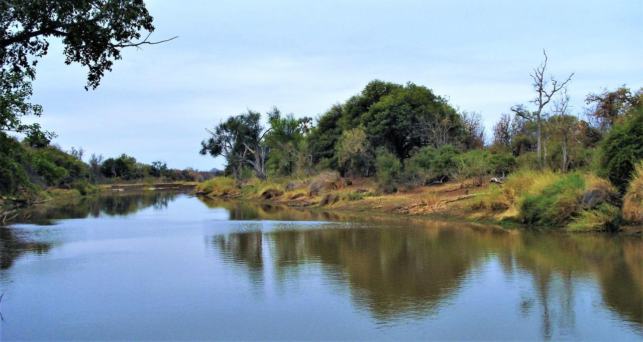 Limpokwena Nature Reserve Tokio Extérieur photo