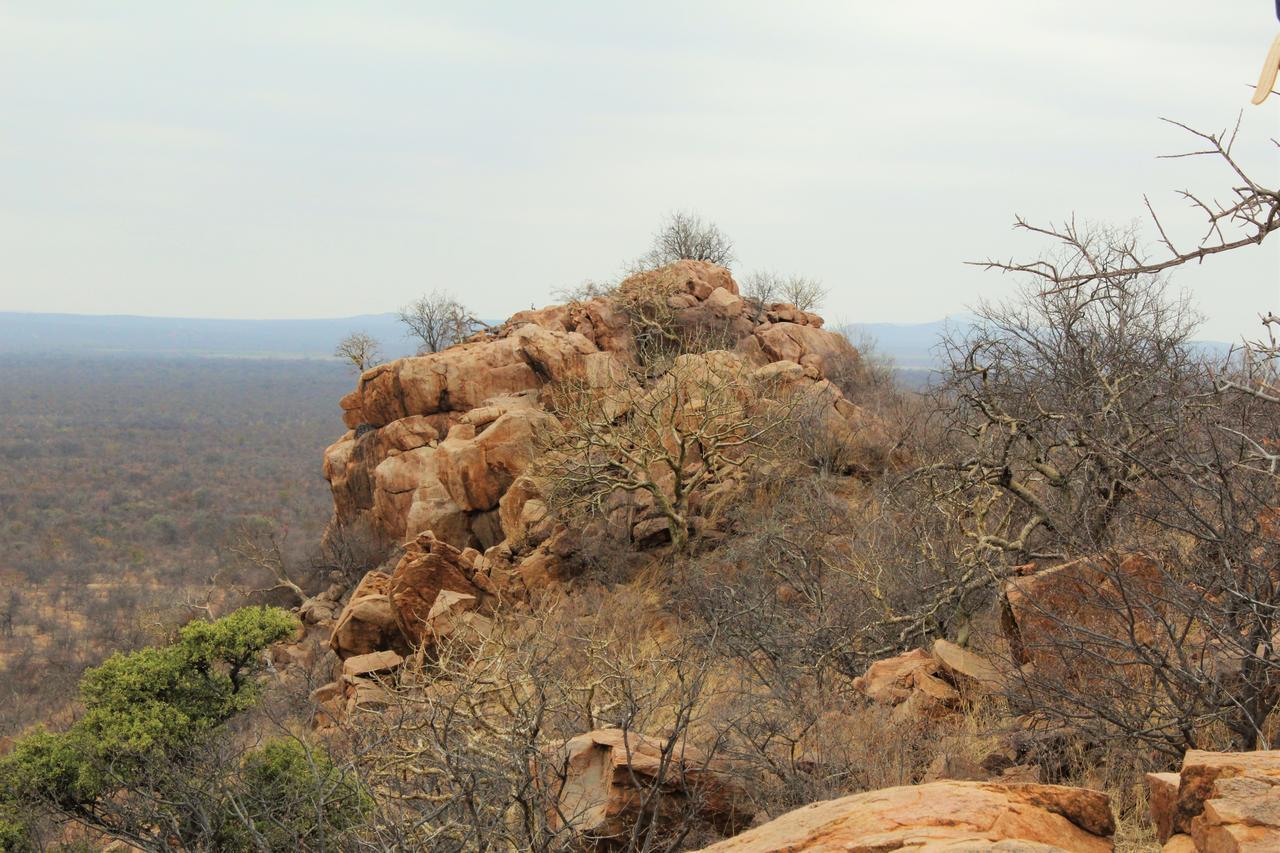Limpokwena Nature Reserve Tokio Extérieur photo